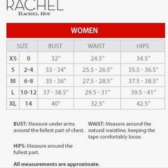 Rachel Roy Blush Lace Dress NWT - Picture 13 of 13